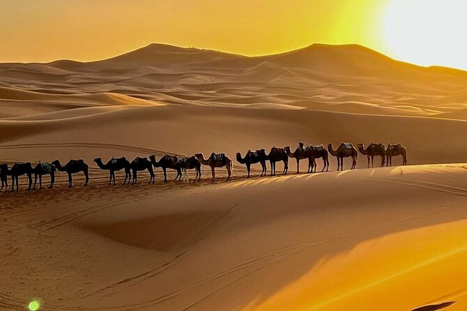 4 Days Desert Tour From Marrakech to Fes via Merzouga Dunes - Exclusions