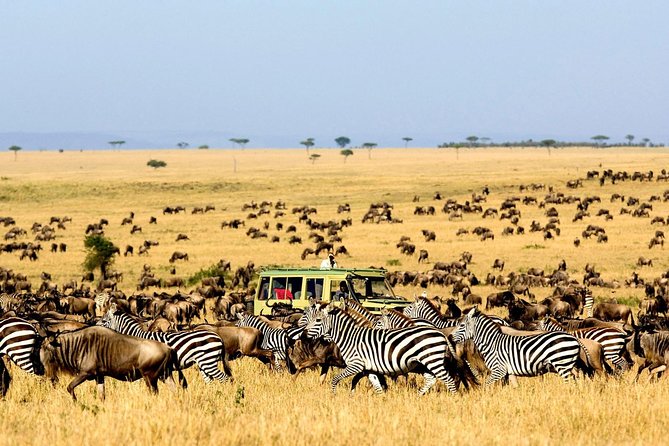 6 Day: Magnificent Wildlife Adventure - Safari Jeep Features