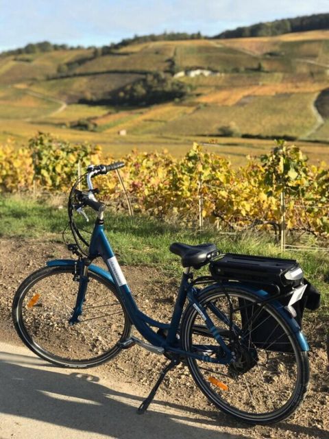 Afternoon E-Bike Champagne Tour From Reims - Champagne Tasting Experience