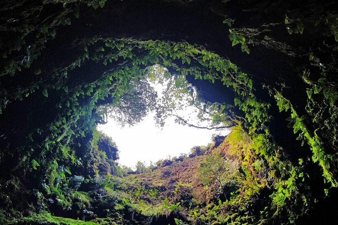 Algar Do Carvão Express: Half Day Tour - Volcano Interior and Natal Cave