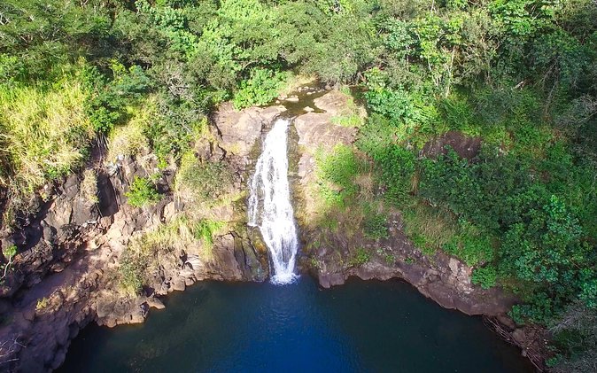 All Inclusive Ultimate Circle Island Day Tour and Waimea Falls - Pickup and Drop-off Details