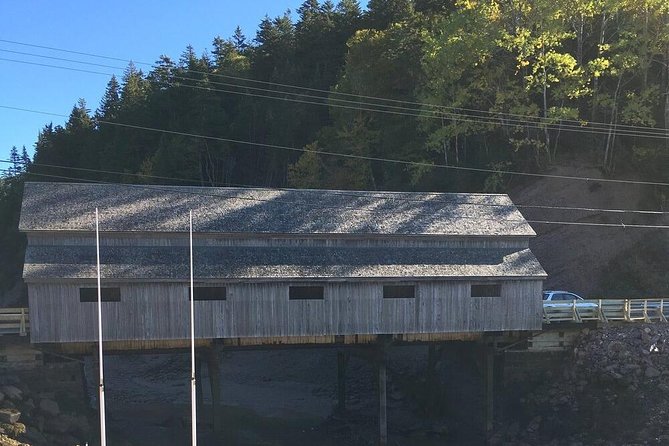 Bay of Fundy Tour by Bus - Pickup and Return