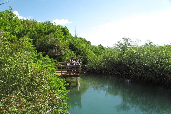 Bermuda Hidden Gems Half-Day Winter Excursion - Meeting and End Points