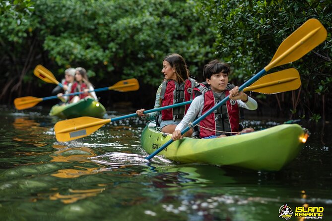 Bioluminescent Glowing Bay Kayaking Adventure in Puerto Rico - Kayaks, Gear, and Safety