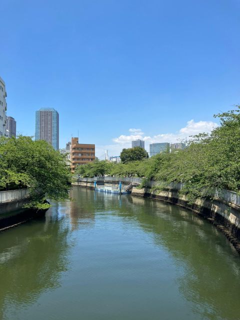 Calm Tokyo - Cultural Temple Tour With a Real Local - Experience Highlights