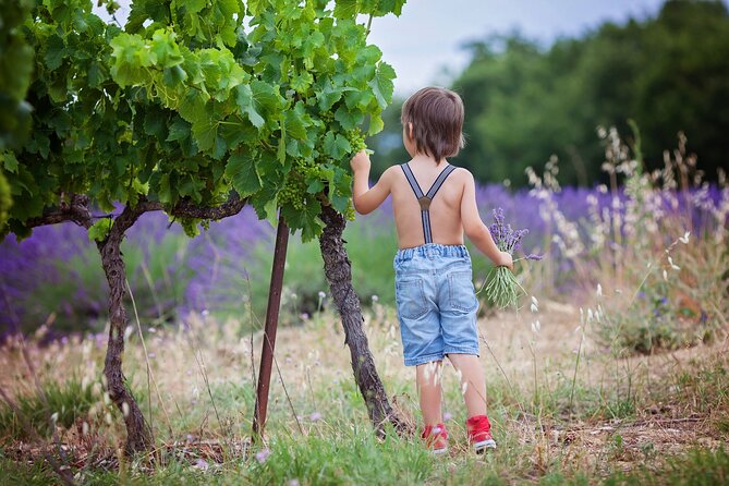 Chianti Wine Tour in Tuscany From Florence - Exploring San Gimignanos Medieval Charm