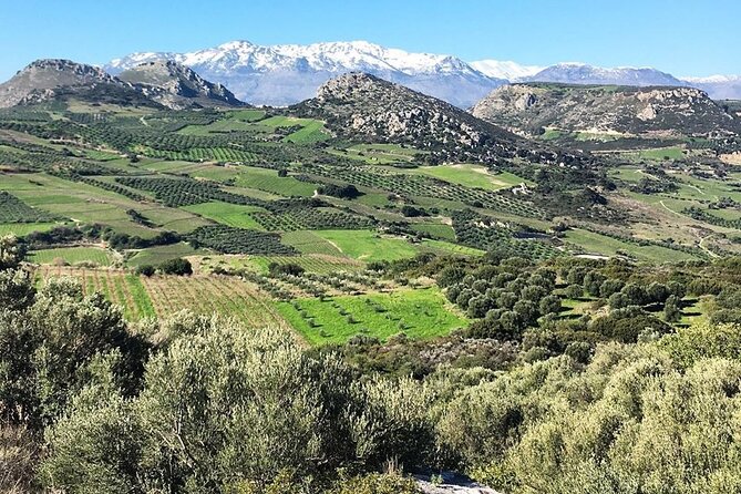 Crete: Olive, Wine, Raki - Flavorful Culinary Journey - Meeting and Pickup Details