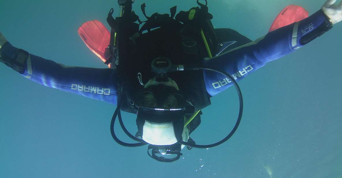 Diving - Relax and Enjoy Weightlessness