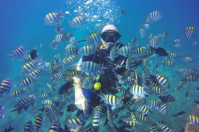 First Time Scuba Diving Experience in Punta Cana - Introductory Scuba Diving Tour