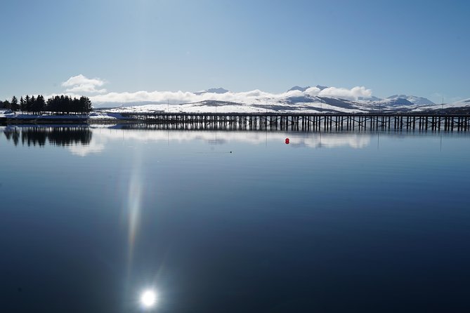 Fjord Cruise in a Luxury Yacht Arctic Queen - Accessibility and Age Restrictions