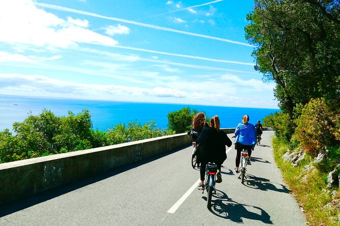 French Riviera Grand Panoramic E-Bike Tour - Health and Safety Requirements