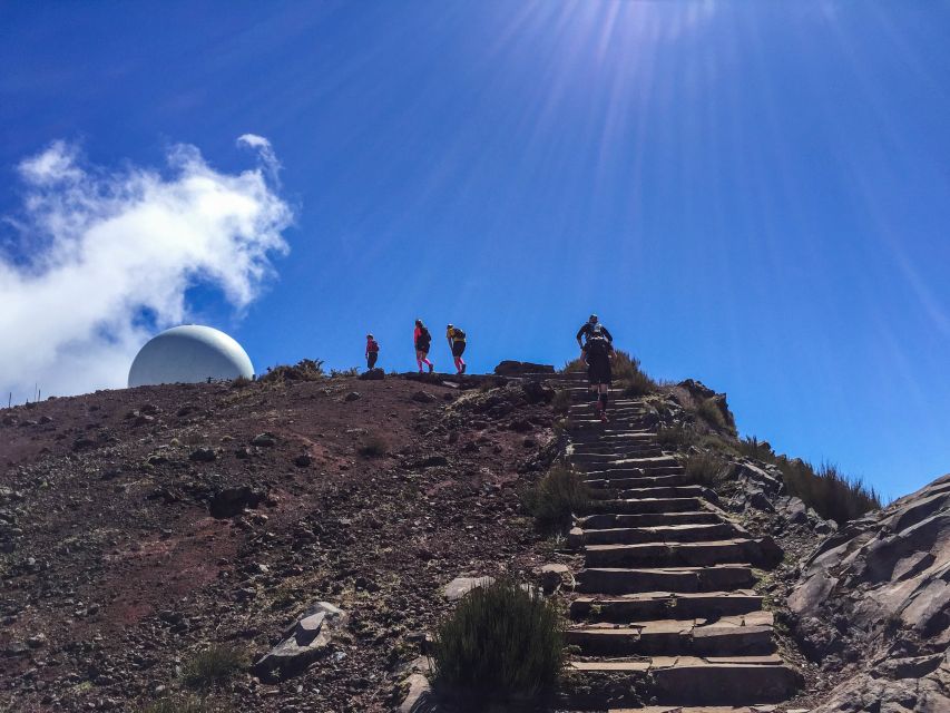 From Funchal: The Peaks Quest Running Tour (Moderate-Hard) - Pricing and Booking