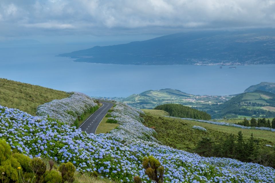 From Horta: Guided Faial Island Tour - Highlights and Experience