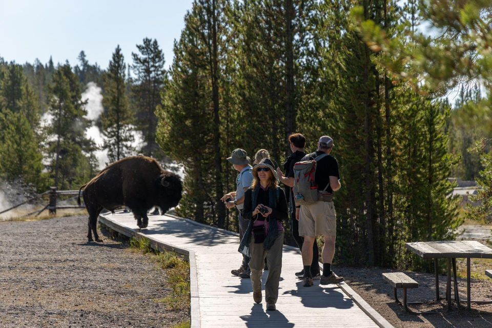 From Salt Lake City: 3-Day Yellowstone Wildlife Adventure - Geothermal Wonders and Hot Springs