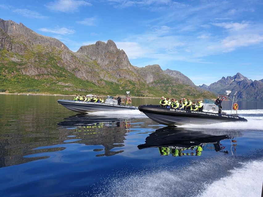 From Svolvaer: Trollfjorden Wildlife RIB Cruise - Navigating the Strait of Øyhellsundet