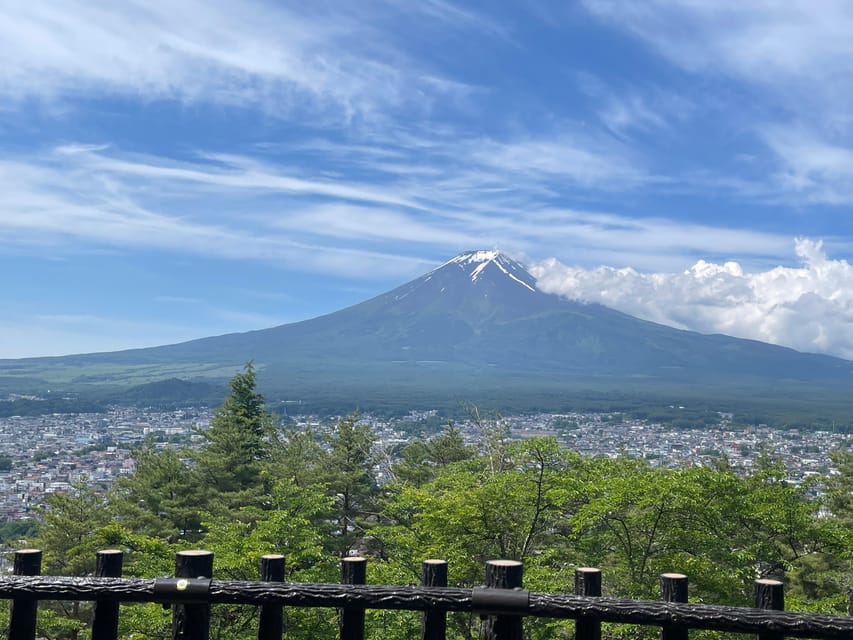 From Tokyo: Private Mt. Fuji Tour With Guide - Pickup and Transportation