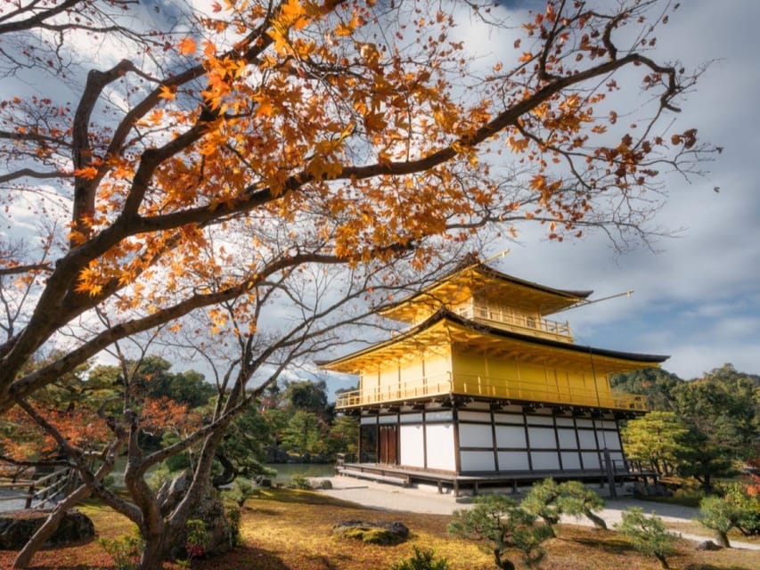 Full Day Guided Kyoto Cultural Tour - Itinerary Highlights