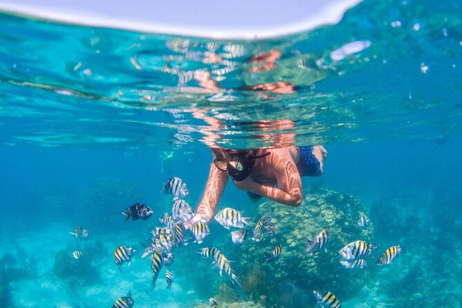 Half-Day Snorkeling Cruise and Natural Pool With Open Bar - Pickup Information