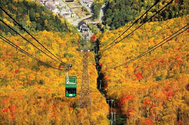 Hokkaido Kurodake Ropeway Tour Review - Inclusions and Exclusions