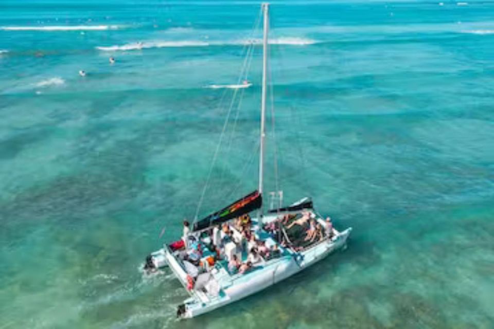 Honolulu: Marine Life Boat Tour on Waikiki Catamaran Charter - Wildlife Experience