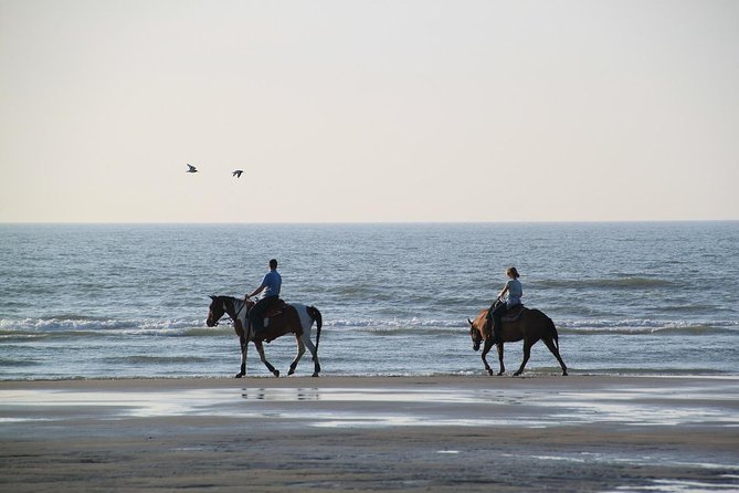 Horse Riding Tour 2 Hours Sea and Desert With Transfer - Hurghada - Inclusions and Exclusions