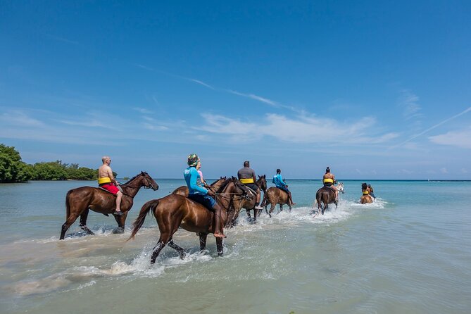 Horseback Riding, Shopping and Lunch - Riding Horses in the Water