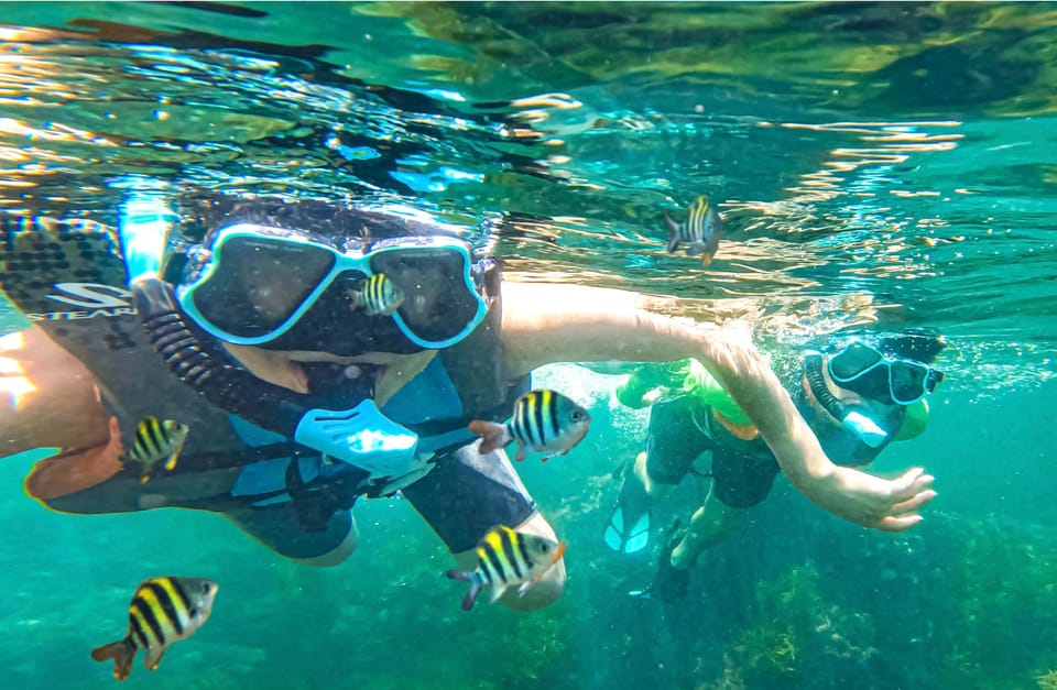 Japan: Snorkeling Adventure on a Boat - Itinerary and Activities