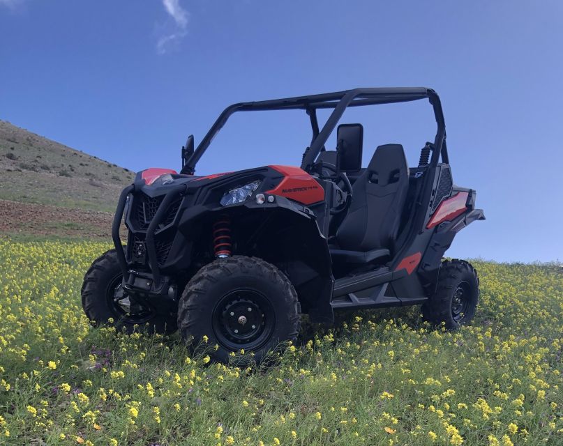 Lanzarote: Guided Can-Am Trail Buggy Tour - Experience Highlights