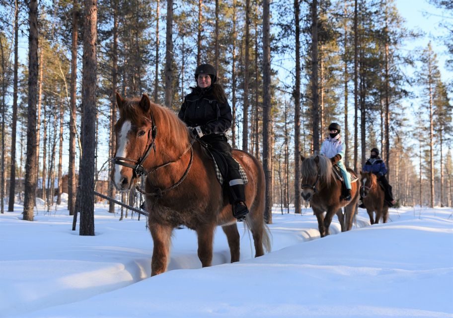 Levi: Snowy Forest Ride and Polar Lights Tours - Highlights