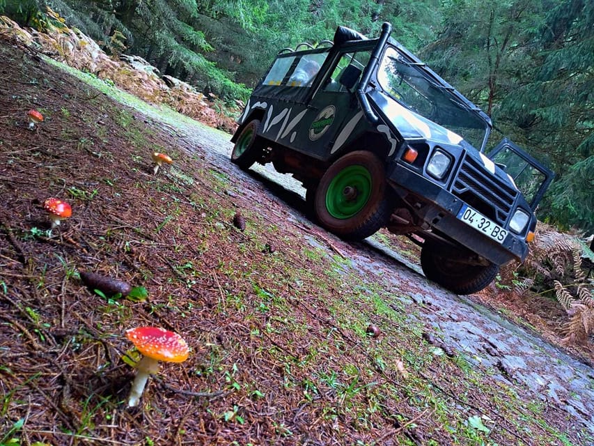 Madeira: Jeep Safari Tour - Duration and Group Size