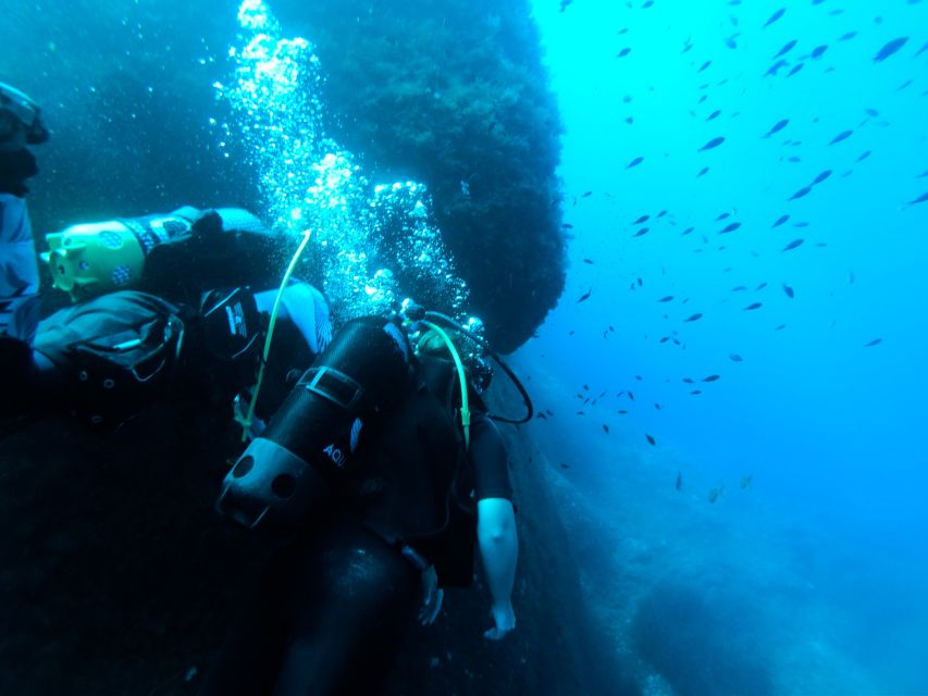 Malta: Scuba Diving Lesson & Guided Excursion - Immersive Scuba Diving Experience