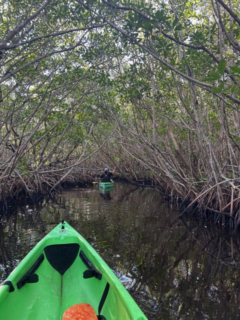 Marco Island: Mangrove Maze Kayak Tour (2hrs) - Experience Highlights