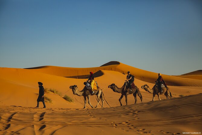 Merzouga 3 Days Private Desert Tour From Marrakech - Camel Ride in Merzouga Desert