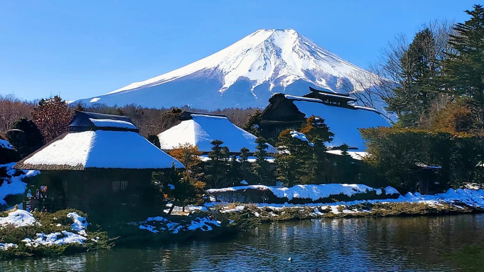 Mt. Fuji and Hakone: Full Day Private Tour W English Guide - Itinerary Highlights