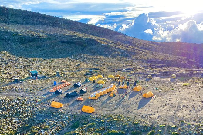 Mt. Kilimanjaro Climb - 8 Day Lemosho Route - Meeting and Pickup