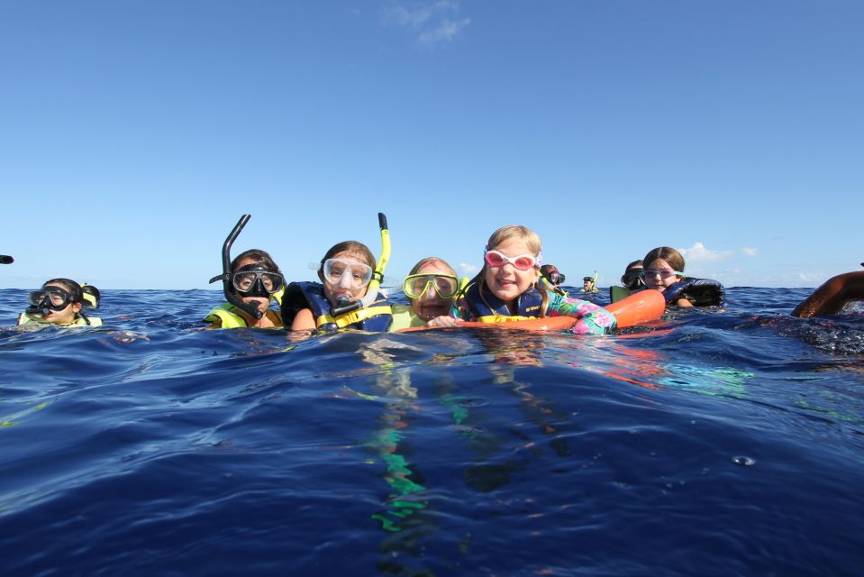 Oahu: Dolphin Swim and Snorkeling Speedboat Tour - Pickup and Drop-off Locations