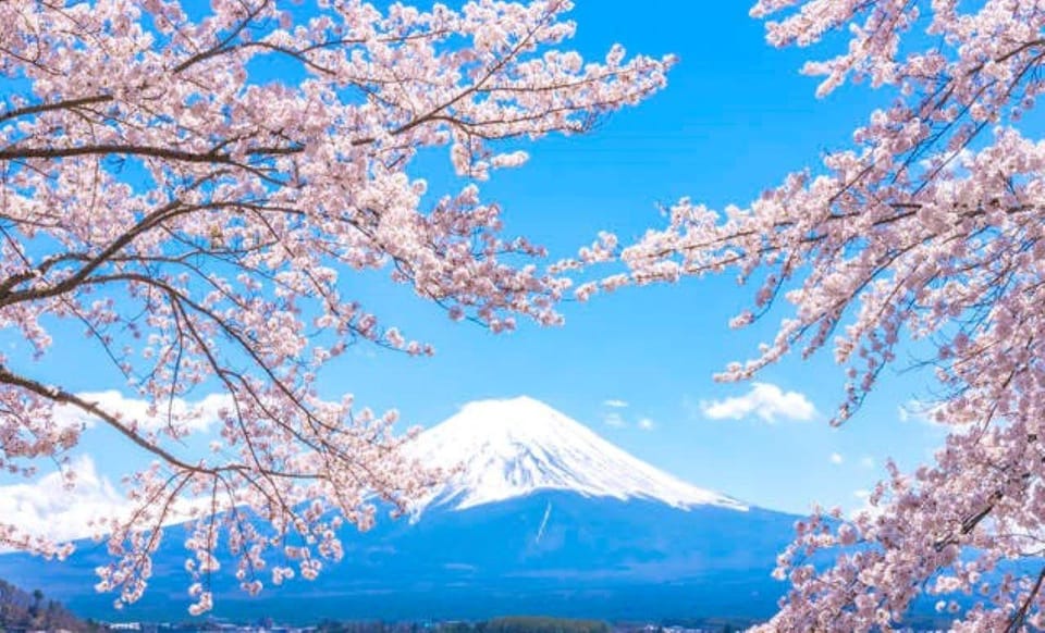 One Day Tour in Mount Fuji Review - Itinerary Highlights