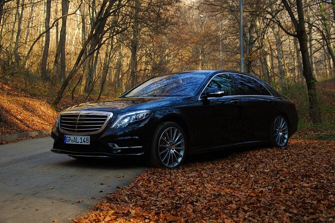 Paris VIP Transfers to or From Charles De Gaulle and Orly Airport - Amenities Included