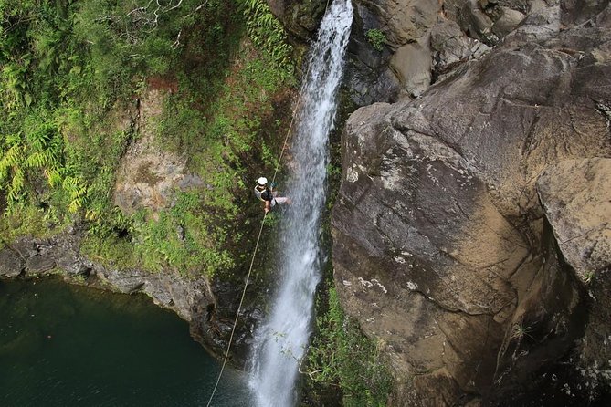 Rappel Maui Waterfalls and Rainforest Cliffs - Scenic Road to Hana