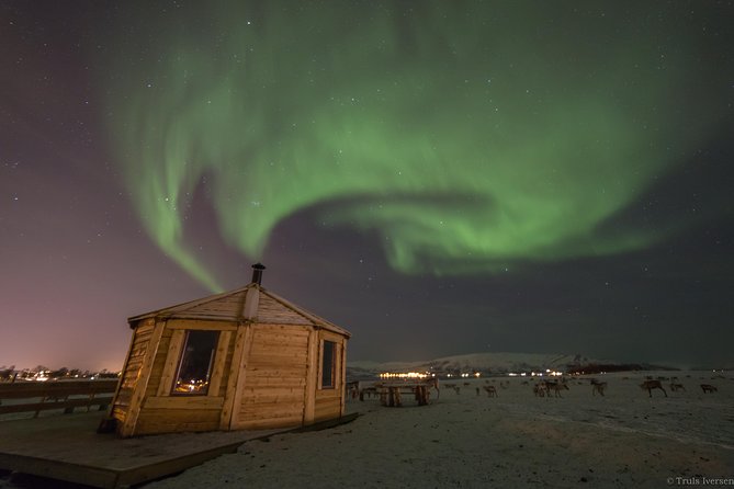 Reindeer Camp Dinner With Chance of Northern Lights in Tromso - Traditional 3-Course Sami Dinner