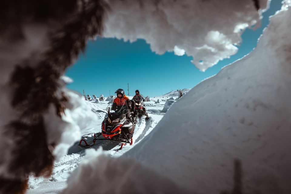 Saariselkä: Full Day Adventure With Snowmobiles - Snowmobile Driving Experience