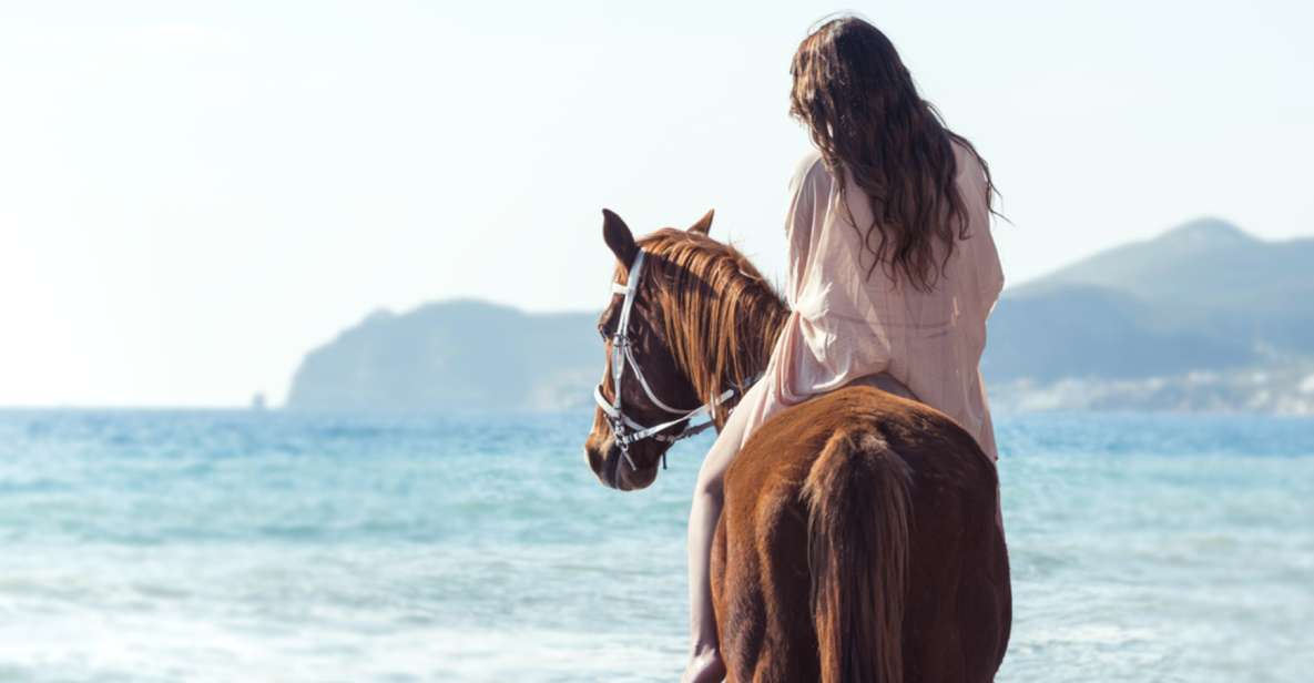 Santorini: Horse Riding Trip to Black Sandy Beach - Experience Highlights