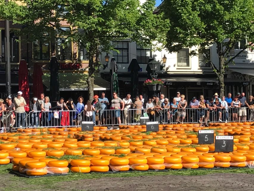 Small Group Alkmaar Cheese Market and City Tour *English* - Experience Highlights