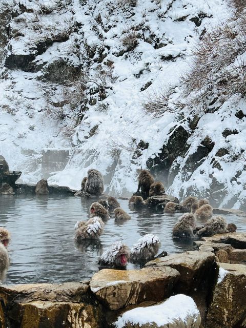 Snow Monkeys Zenkoji Temple One Day Private Sightseeing Tour - Recommended Itinerary