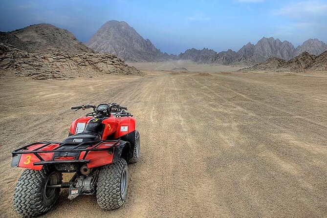 Super Safari Quad Bike, Camel Ride, Buggy and Dinner - Hurghada - Included Experiences