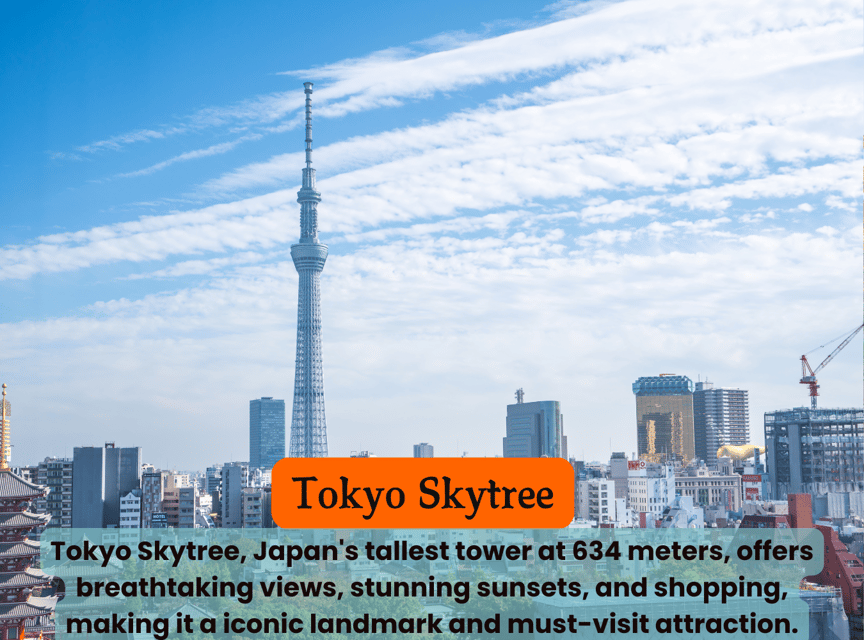 Tokyo Unforgettable Private Tour for Family(Up-To 6 Persons) - Customizable Itinerary