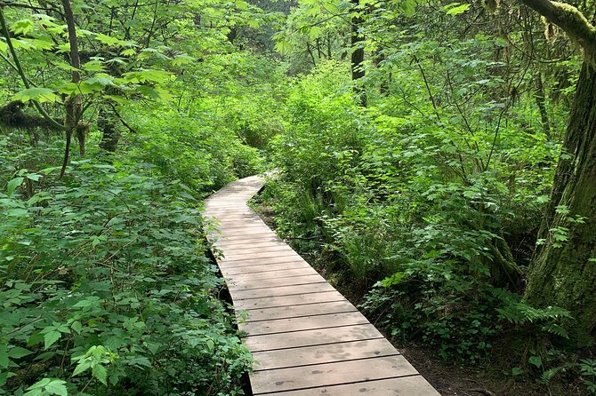 Vancouver Rainforest Hike With Waterfalls, Suspension Bridge, Old Growth Forest - Location