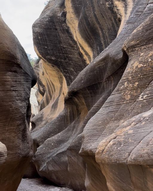 Willis Creek Tour - Itinerary and Activities