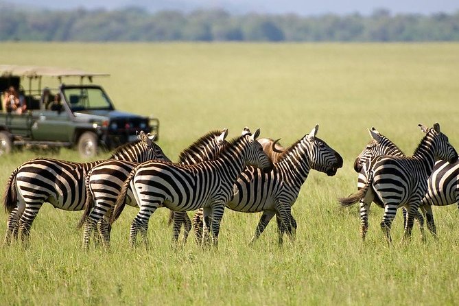 3 Days Maasai Mara From Nairobi - Key Points