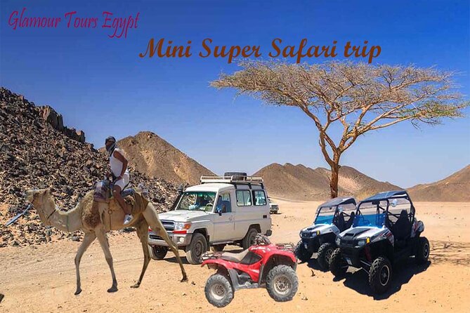 3 Hours Mini Super Safari - Key Points